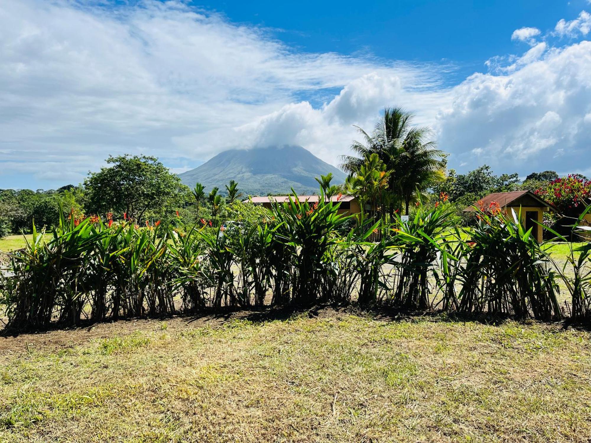 Wellness Park Cr Villa La Fortuna Екстериор снимка